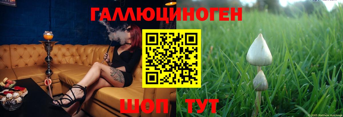 Галлюциногенные грибы мухоморы  Вход с VPN  Севастополь  Псилоцибиновые грибы Magic Shrooms 